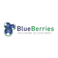 Logo de Blueberries